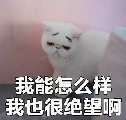 表情搞笑我没有不开心表情包,我能怎么样我也很绝望啊表情