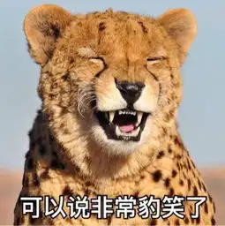 郊游表情包豹豹