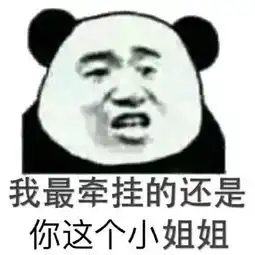 熊猫头关于小姐姐表情包合集我最牵挂的还是你这个小姐姐
