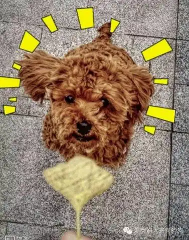 我说,主银你能不那么有才么,我都快成表情包了