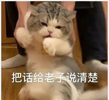 严浩翔表情包鸡皮肤