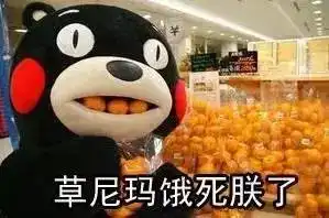 被天天向上评为中国虾王,无数人心中一生必吃的小龙虾,来湛江了