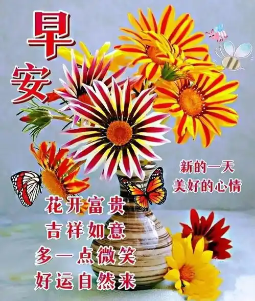 今日最新早上好表情包大全,夏季炎热,防暑降温,健康快乐