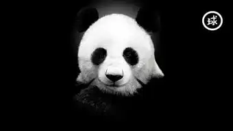 女人们,请给那些笨男人一点机会