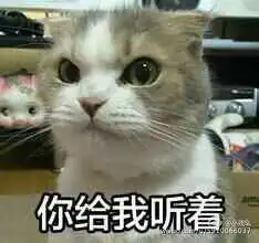 衣食住行在厦门