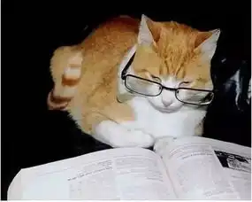 学校老师一天表情大全,主要看气质,不许笑