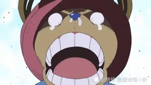 海贼王娜美全新赏金让乔巴看傻眼了,乔巴确定没弄错人吗