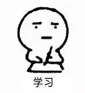 放假啦,铲屎官都出去浪了毛孩子们怎么办