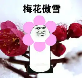 斗图表情包搞笑图片之我骄傲,我傲娇