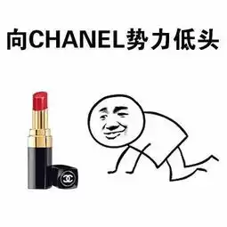 向一切口红势力低头