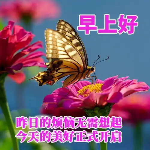 开心快乐每一天表情包