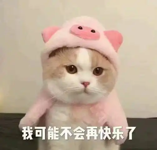 表情猫咪冷漠表情包我是一个没有感情的菠萝头表情