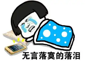 被窝表情包图片