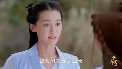 楚乔传小七这个机灵鬼,还想刨墙整宇文玥这里可是青山院啊