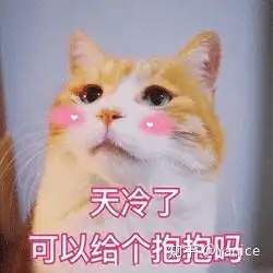 你有哪些压箱底的表情包