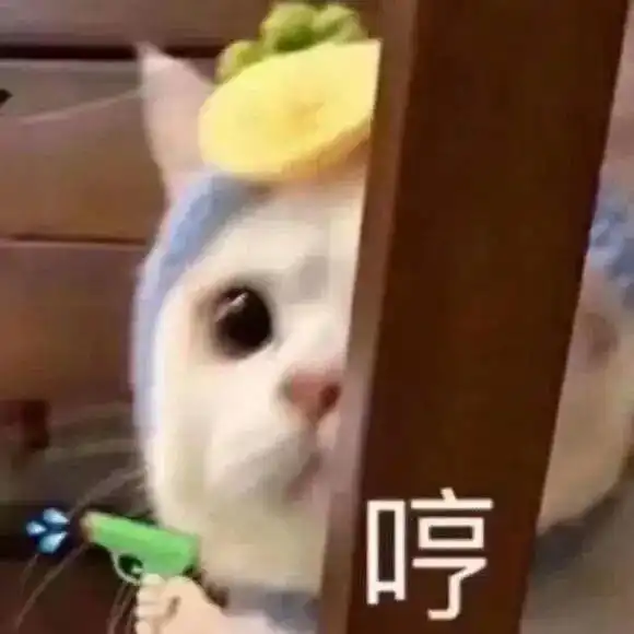 久违的校园,美好的开学季是小冷呀