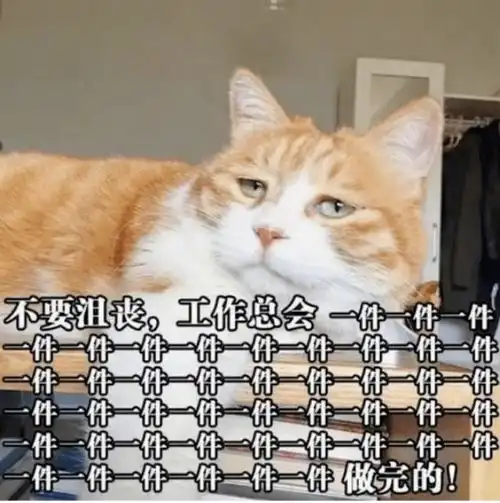 万世师表老师和小神兽们的大战