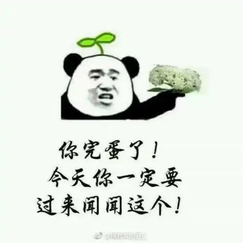 学校为什么要种石楠花啊啊啊啊啊