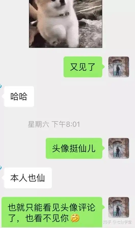盖着棉被纯聊天表情包聊