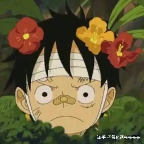 有哪些好看的海贼王表情包或是图片吗特殊点的那种
