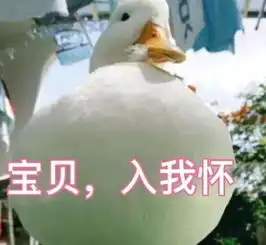 唐嫣和罗晋感情亮起红灯后,井柏然和倪妮也要分手了