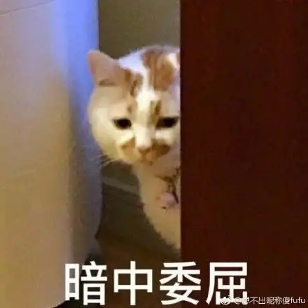 70岁老太超市内扶人摔骨折,上诉法庭,受助人被判赔2.6万