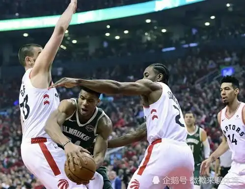 字母哥季后赛靠身体打球是双刃剑近两战17罚8中12失误