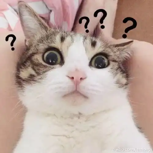 vip的福利,买到就是赚到晚间另有神秘大礼