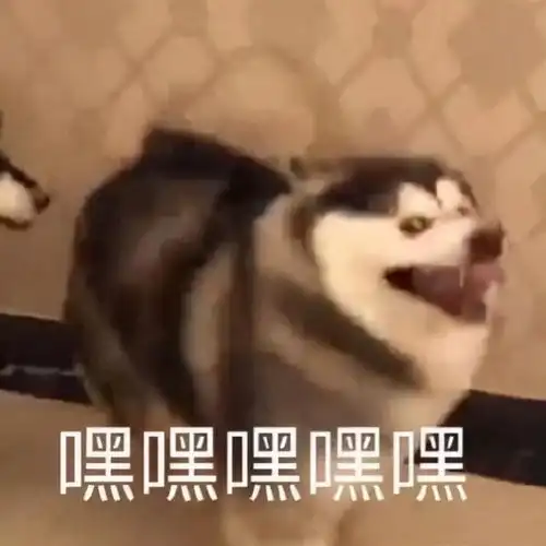 19岁赵今麦演技封神高考524分成学霸,与吐痰男星传绯闻被骂惨