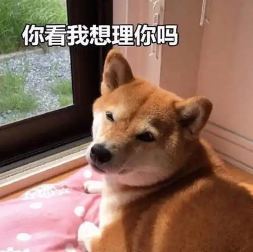 狗狗搞笑表情包来了不打算让自己可爱点吗教你转成微信表情包