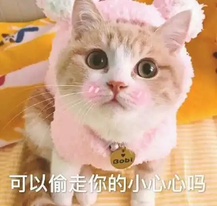 猫咪表情包撩老公系列爱你呦我好想你