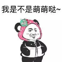熊猫插兜穿衣服表情包免费下载熊猫插兜穿衣服表情包高清无水印极光下载站