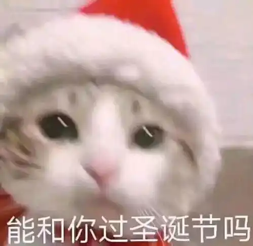 聆琅满目这些彩虹屁你知道吗