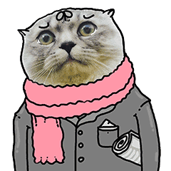 重磅青岛要改名了从今以后它就叫这个名字