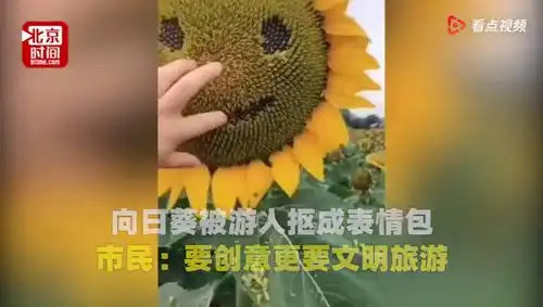 10月9日,安徽省徽州区