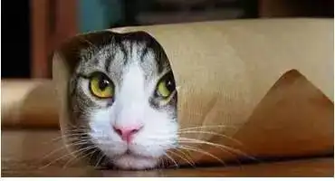 家长一天表情包大全简直太形象了各位请对照乐翻天