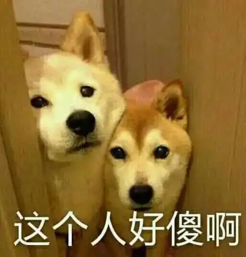 哈士奇柴犬搞笑表情包两