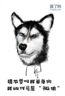 贺卡明信片单身狗系列