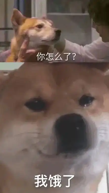 要一个去贵阳的理由风味原产地贵阳主创给你整明白了