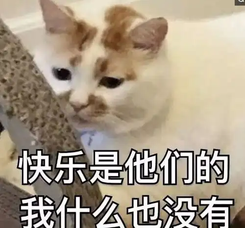 迄今为止,你当过最亮的电灯泡是哪一次