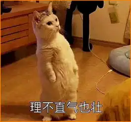 超火喵星人表情包,快说你爱我,不然我就恶龙咆哮