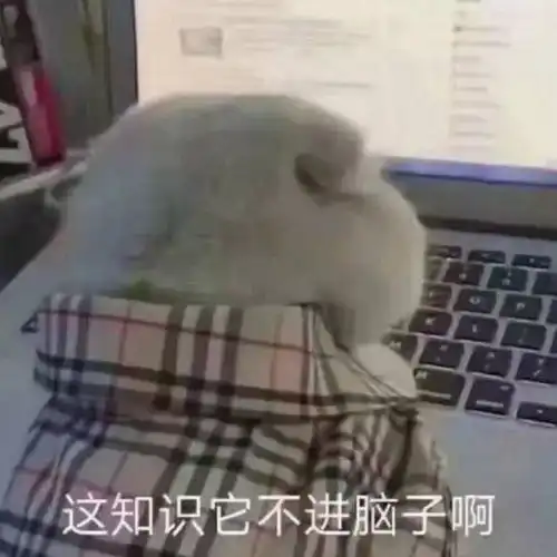 网络表情包用语定时任务