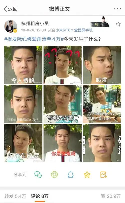 庞麦郎过气网红如何度过中年危机