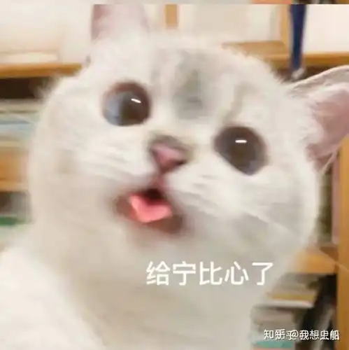 在学校如何锻炼腹肌
