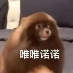 聊天搞笑表情包有钱居然能这样