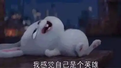 大家好,这是我的2017年终总结扎心版