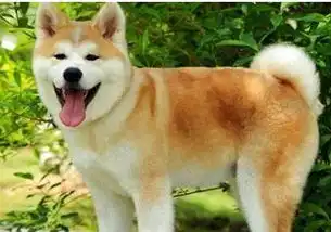 手机游戏最新美容资讯最新最热门美容护肤资讯整形减肥系列大全乐单机游戏网