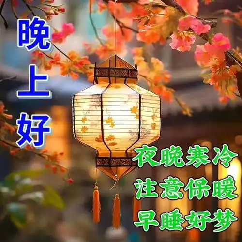 最新最美晚上好问候语温馨语录,晚安早睡好梦