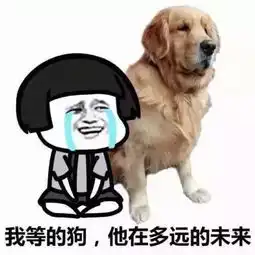 猛狗哭泣表情包