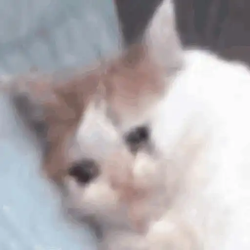 今天突然发现原来我一直都不开心,因为生活中各种...